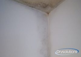 condensa-ambientale_drysolutions_3