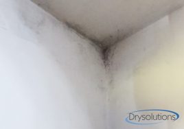 condensa-ambientale_drysolutions_4