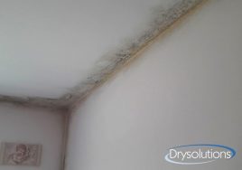 condensa-ambientale_drysolutions_5