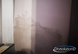 condensa-ambientale_drysolutions_7