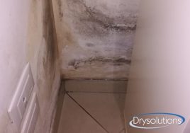 risalita-capillare_drysolutions_8